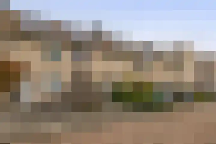 Amazonestraat 17 Spijkenisse thumbnail 7