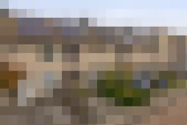 Amazonestraat 17 Spijkenisse thumbnail 8