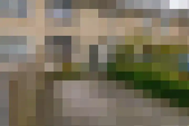 Amazonestraat 17 Spijkenisse thumbnail 9
