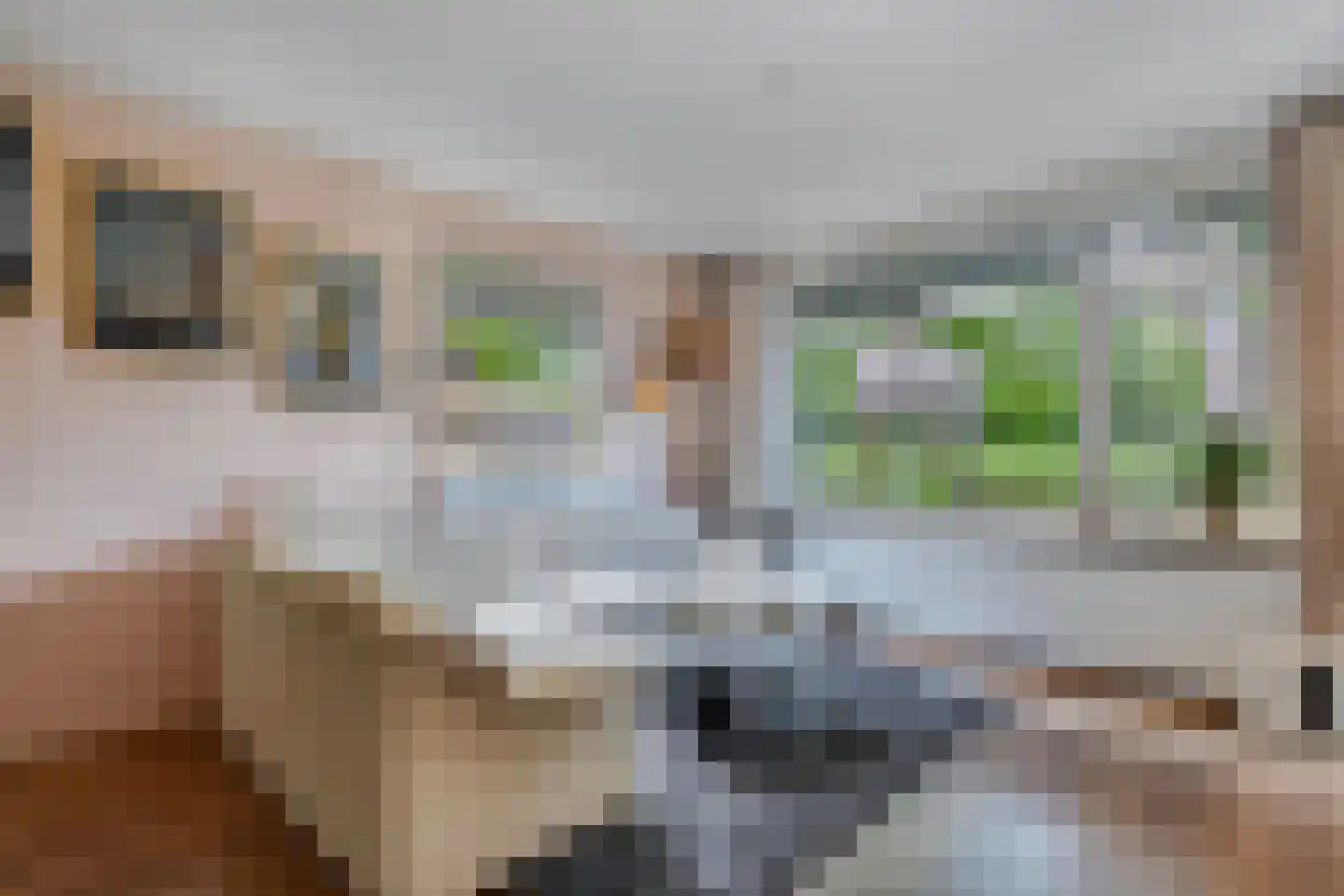 Amazonestraat 19 Luttelgeest thumbnail 17
