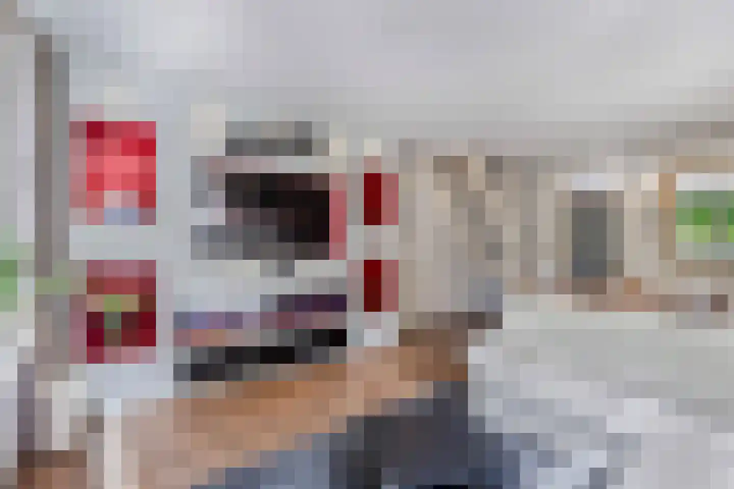 Amazonestraat 19 Luttelgeest thumbnail 19