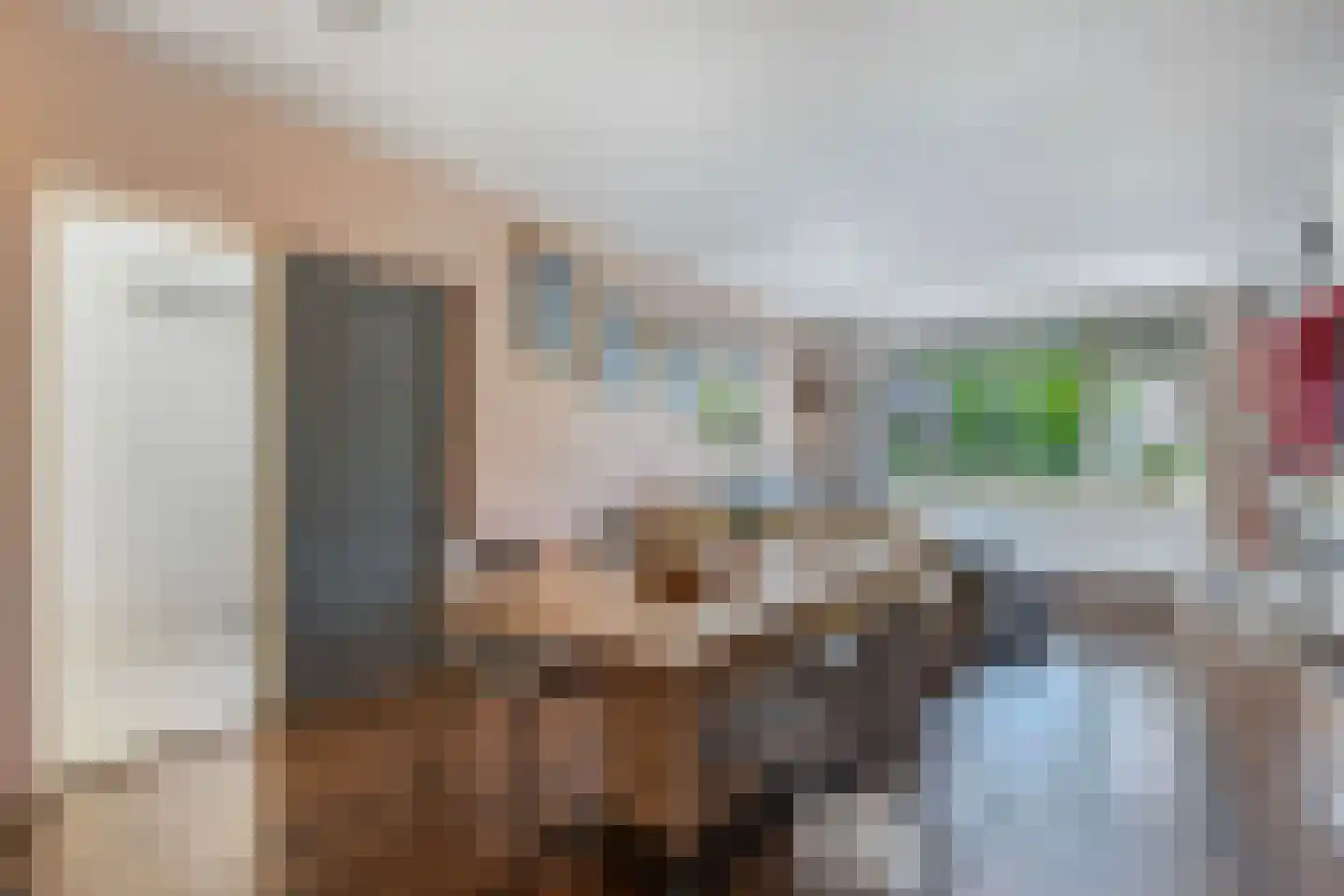 Amazonestraat 19 Luttelgeest thumbnail 20