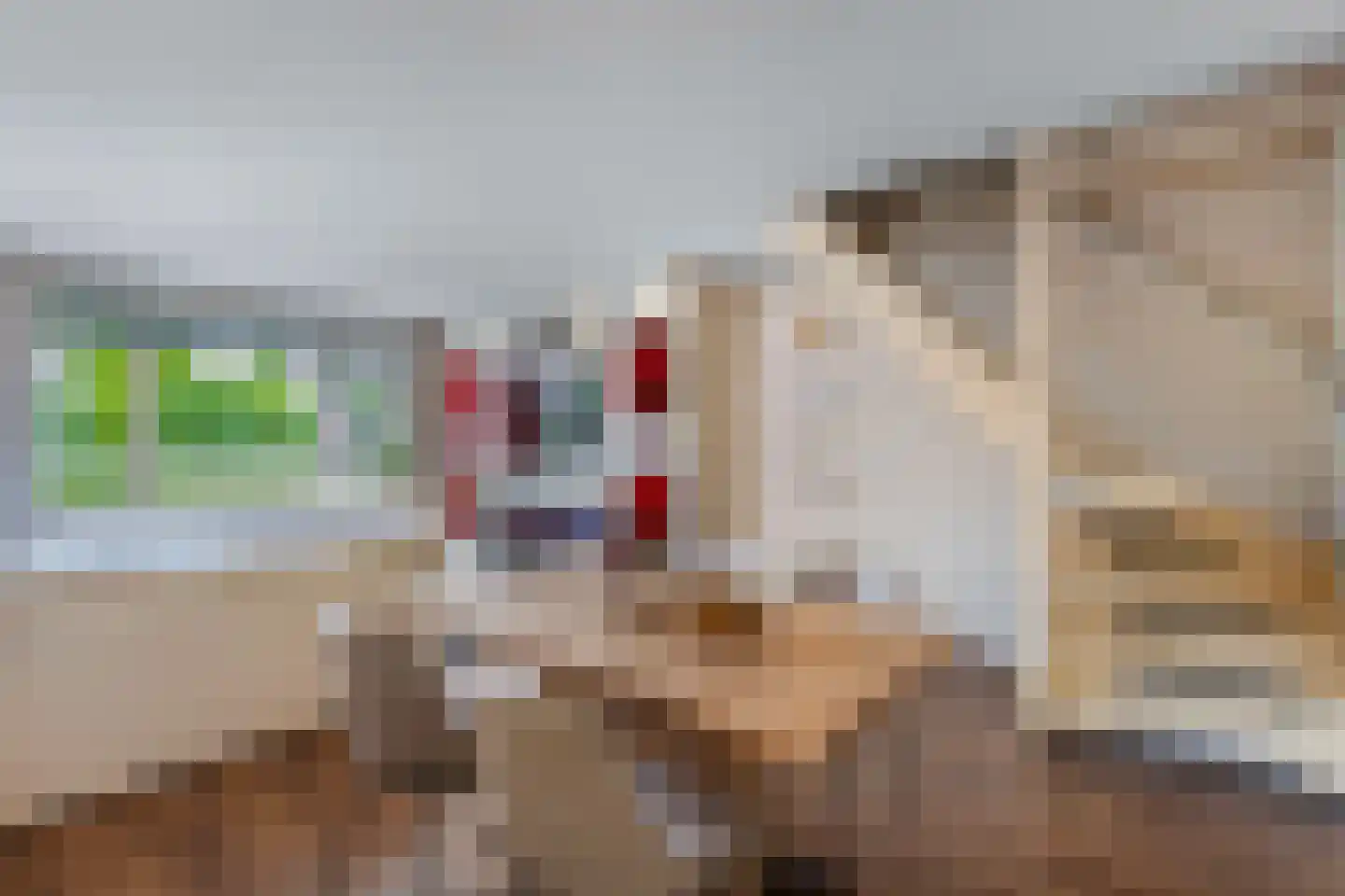Amazonestraat 19 Luttelgeest thumbnail 23
