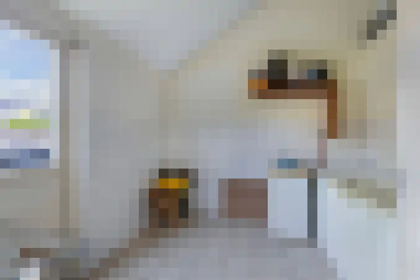 Amazonestraat 19 Luttelgeest thumbnail 27