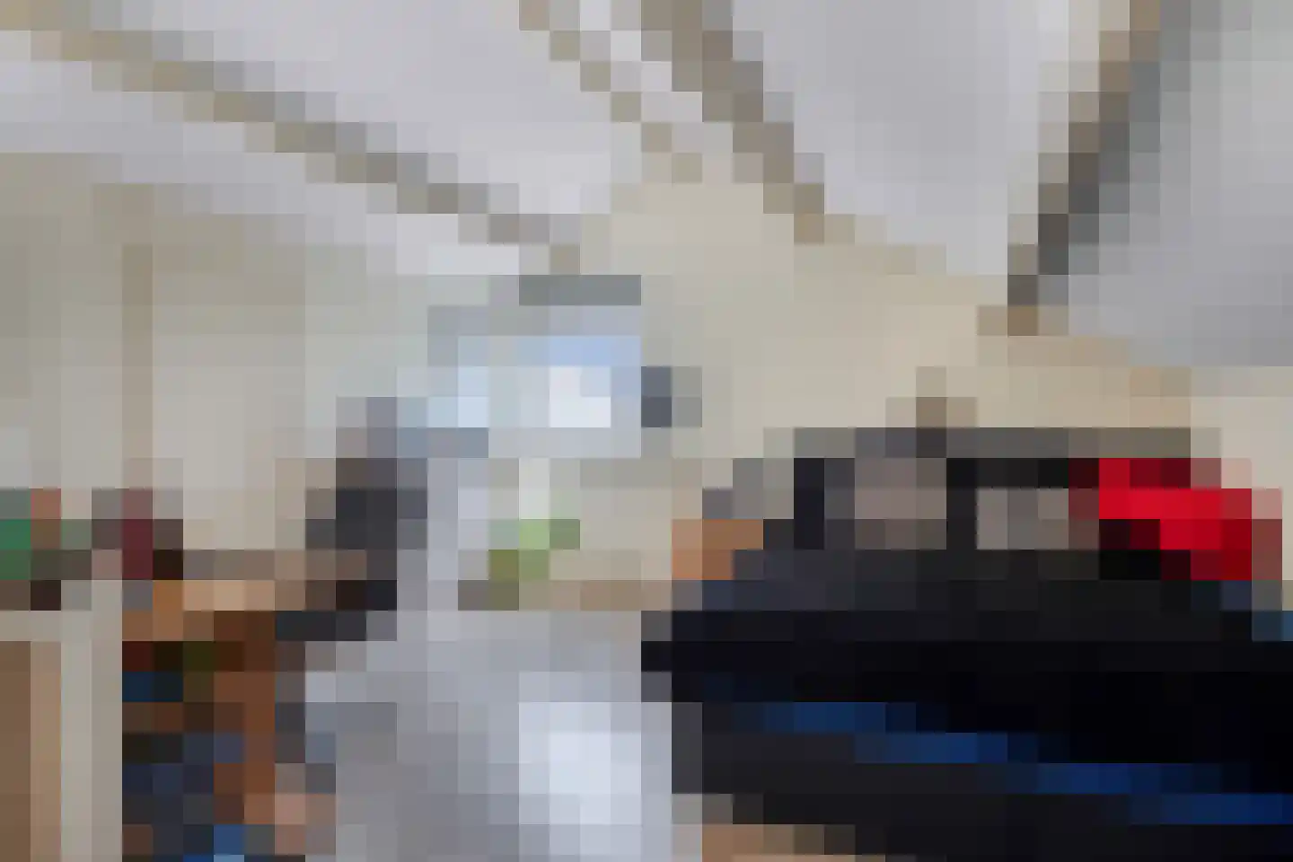 Amazonestraat 19 Luttelgeest thumbnail 37
