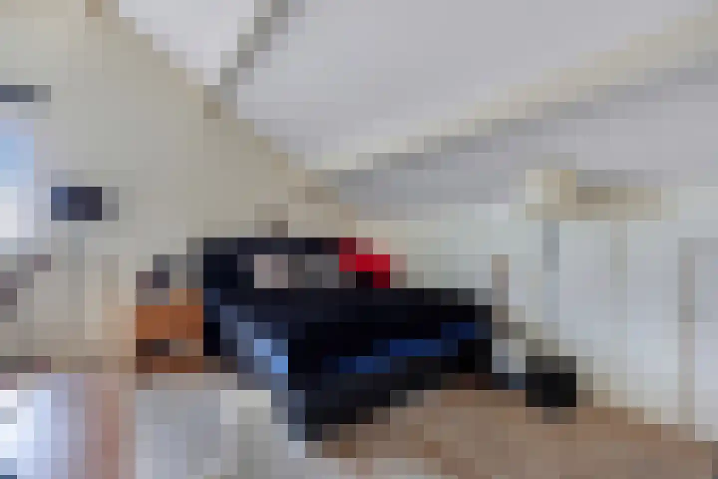 Amazonestraat 19 Luttelgeest thumbnail 38