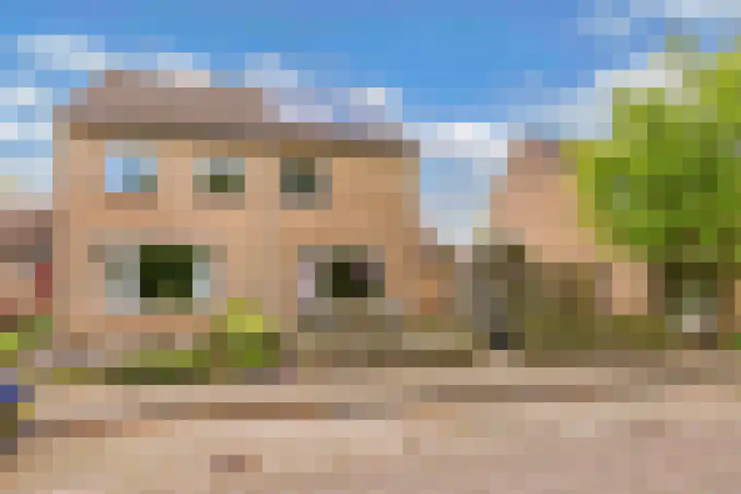 Amazonestraat 19 Luttelgeest thumbnail 4