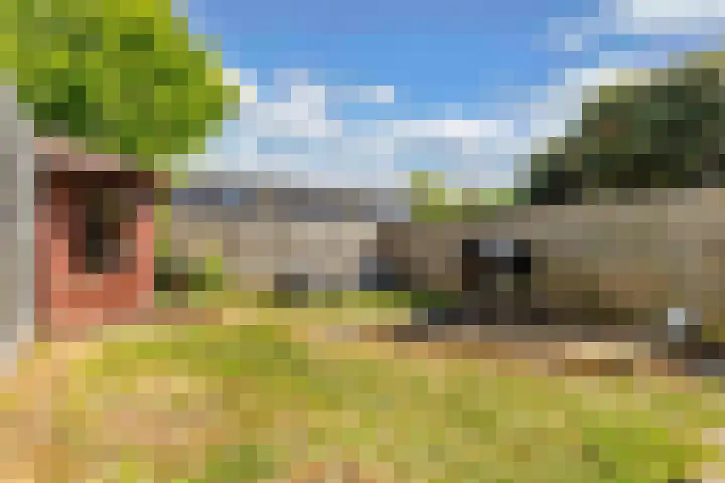 Amazonestraat 19 Luttelgeest thumbnail 40