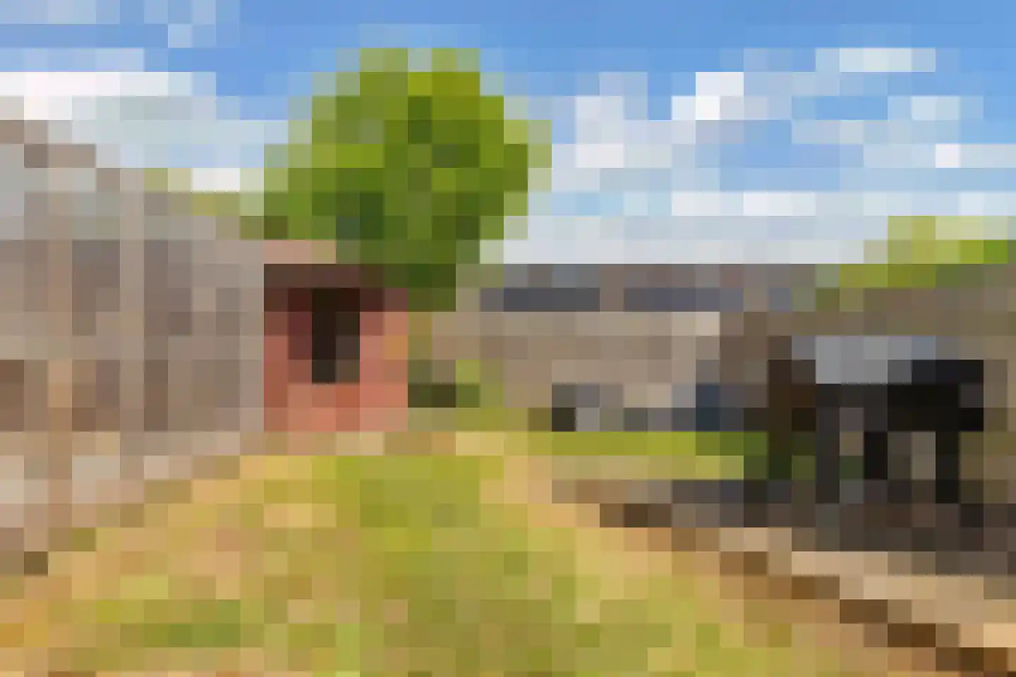Amazonestraat 19 Luttelgeest thumbnail 41