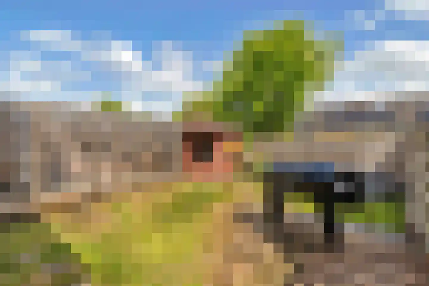 Amazonestraat 19 Luttelgeest thumbnail 42