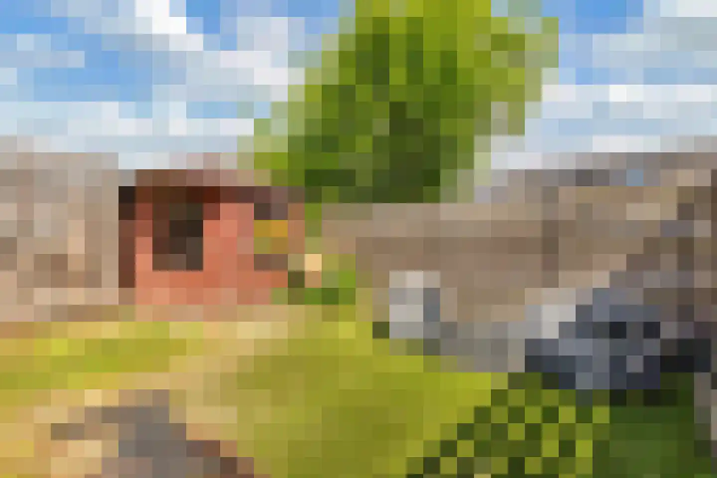 Amazonestraat 19 Luttelgeest thumbnail 43