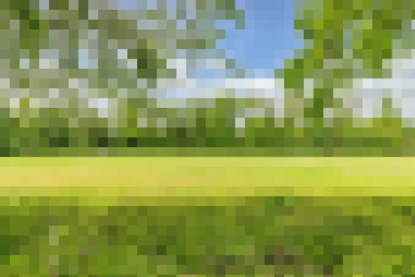 Amazonestraat 19 Luttelgeest thumbnail 47