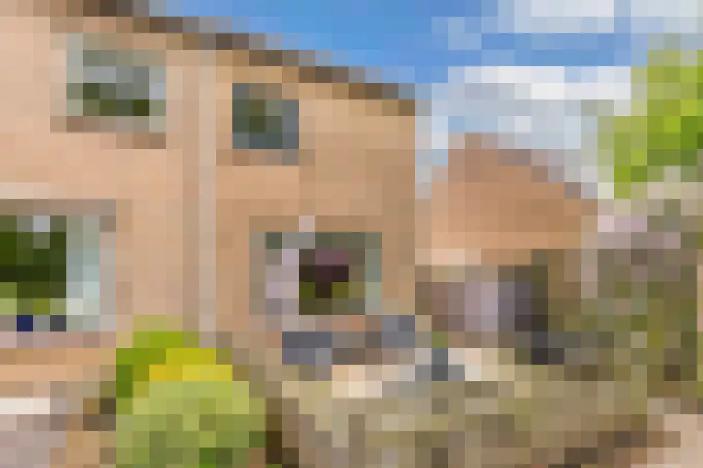 Amazonestraat 19 Luttelgeest thumbnail 6