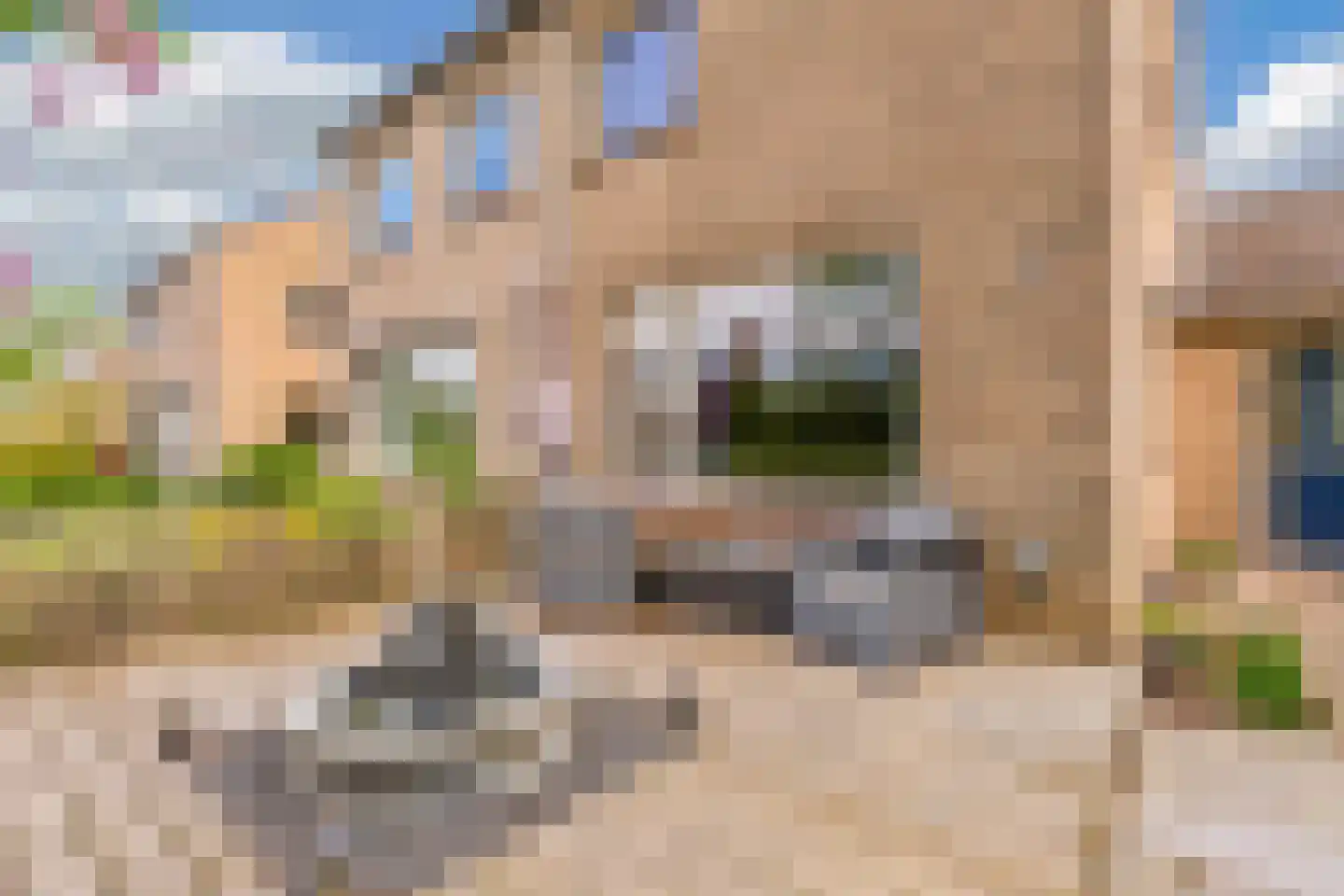 Amazonestraat 19 Luttelgeest thumbnail 7