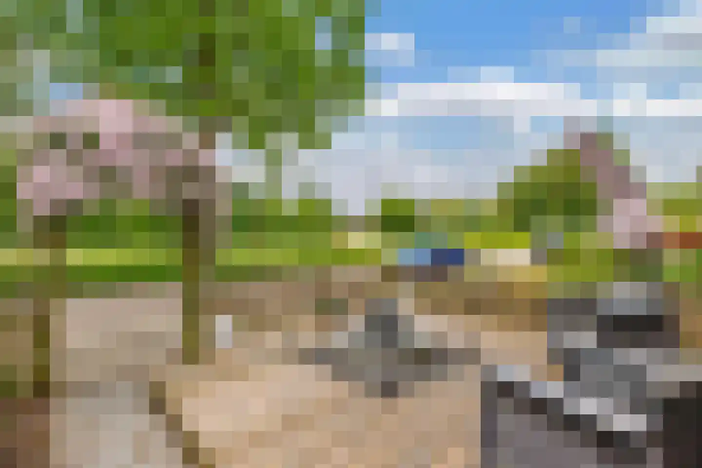 Amazonestraat 19 Luttelgeest thumbnail 8