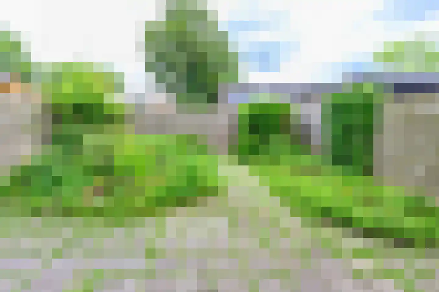 Amazonestraat 3 Luttelgeest thumbnail 18