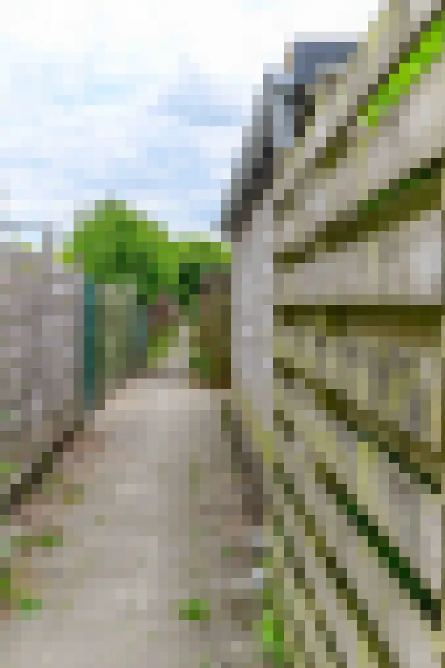 Amazonestraat 3 Luttelgeest thumbnail 20