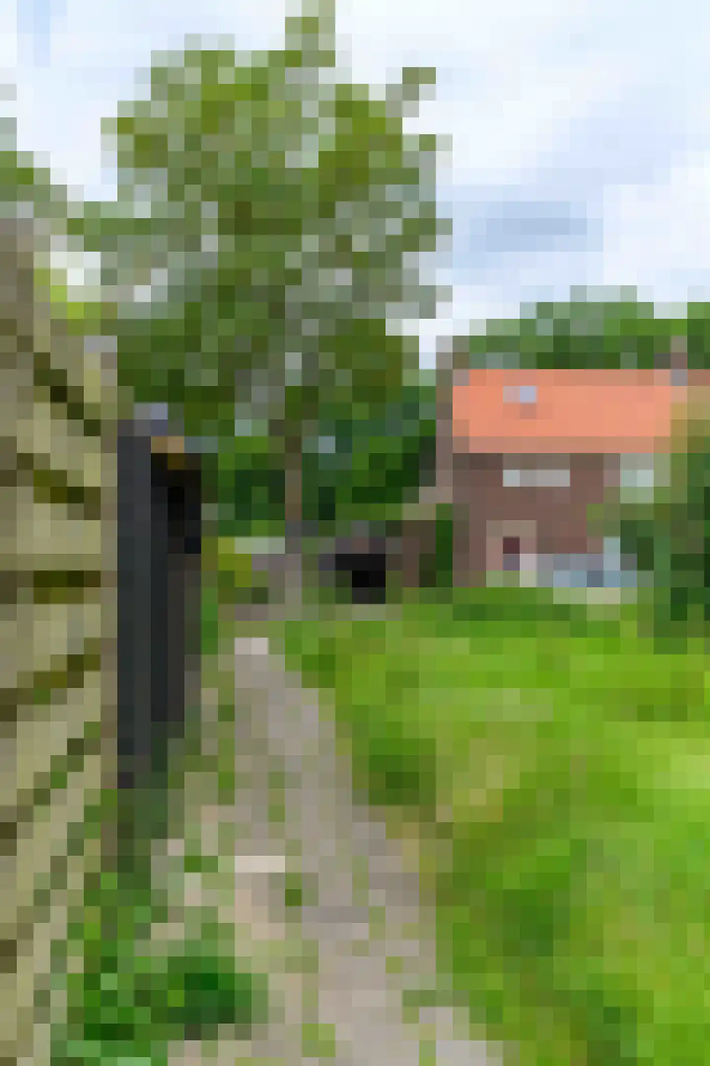 Amazonestraat 3 Luttelgeest thumbnail 21