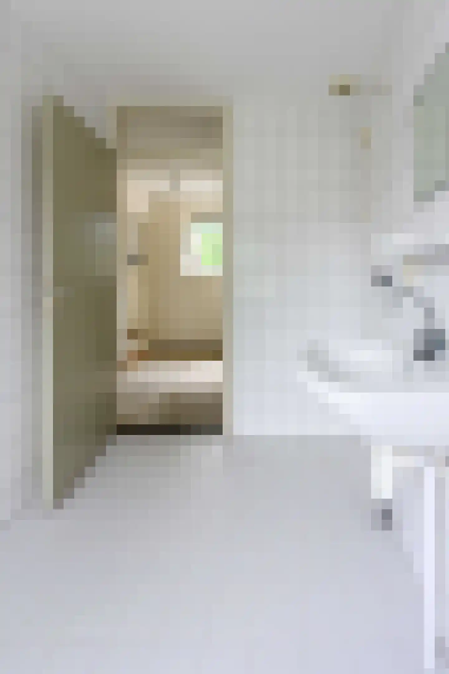 Amazonestraat 3 Luttelgeest thumbnail 27
