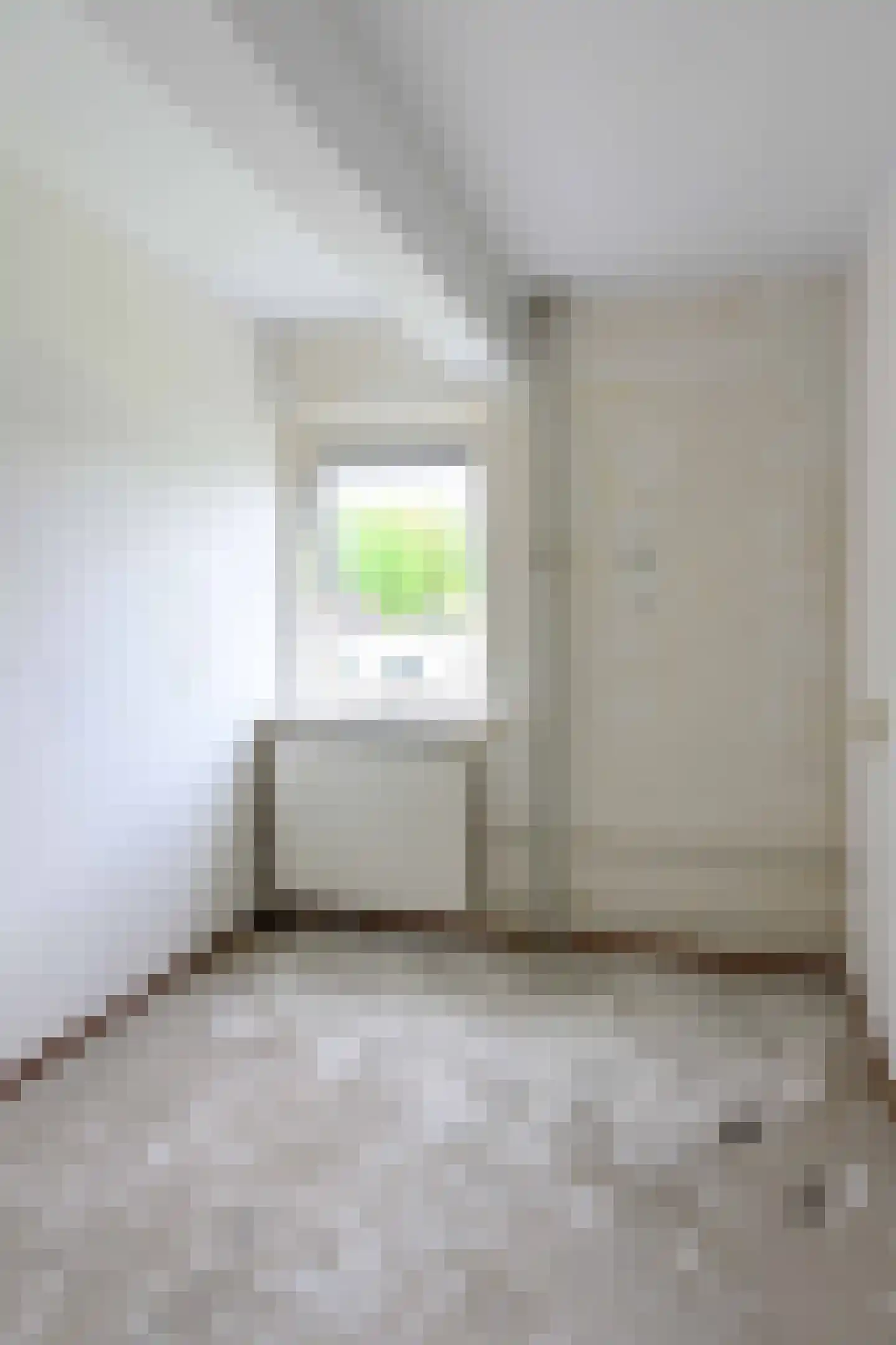Amazonestraat 3 Luttelgeest thumbnail 30