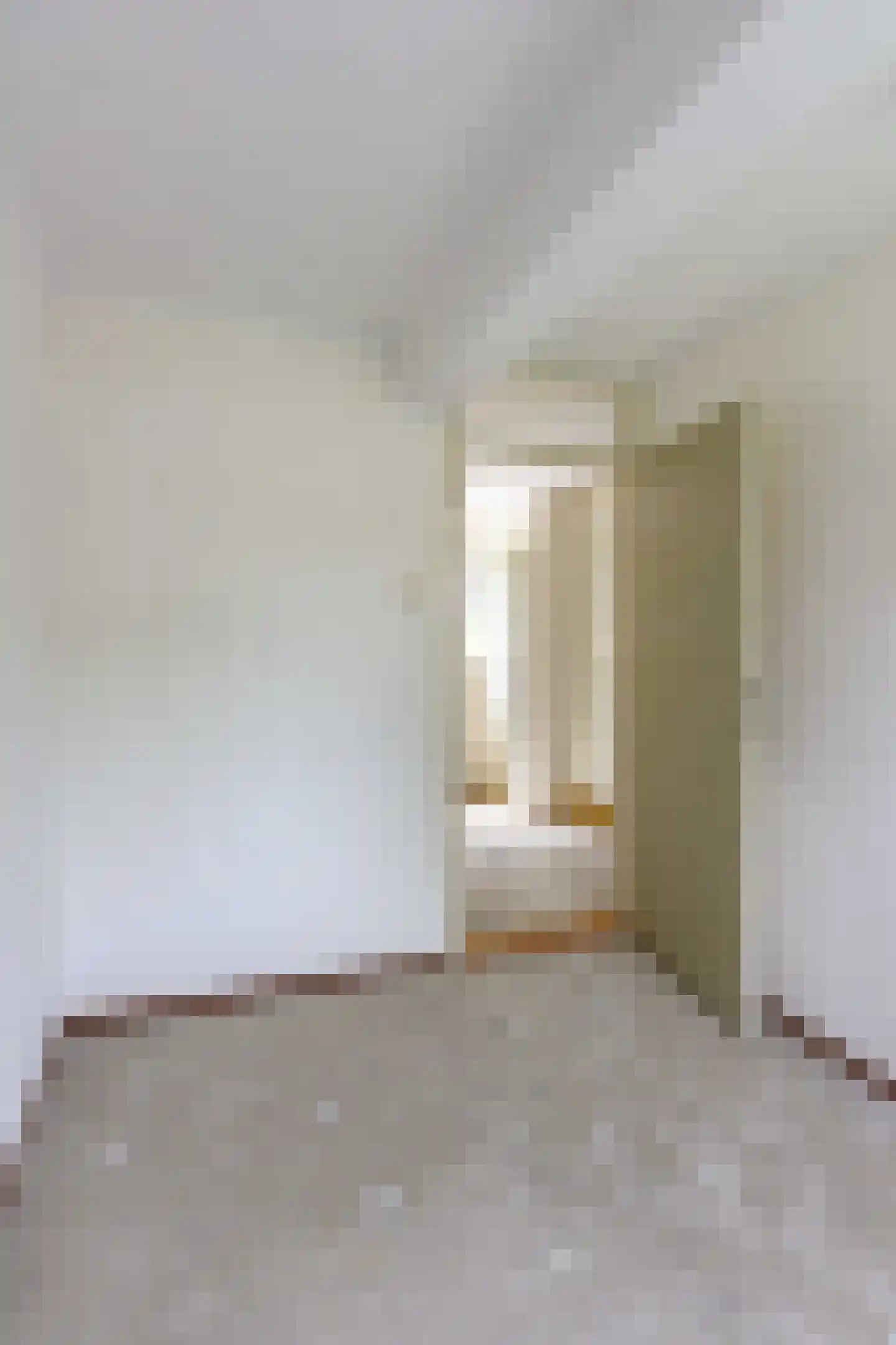 Amazonestraat 3 Luttelgeest thumbnail 31