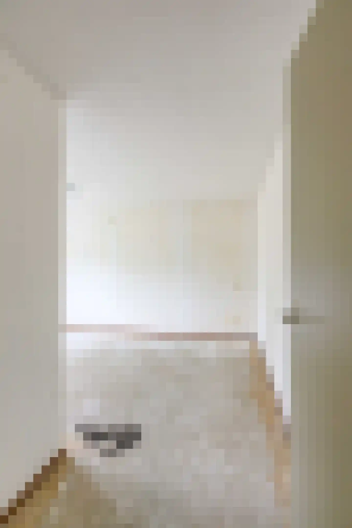 Amazonestraat 3 Luttelgeest thumbnail 32