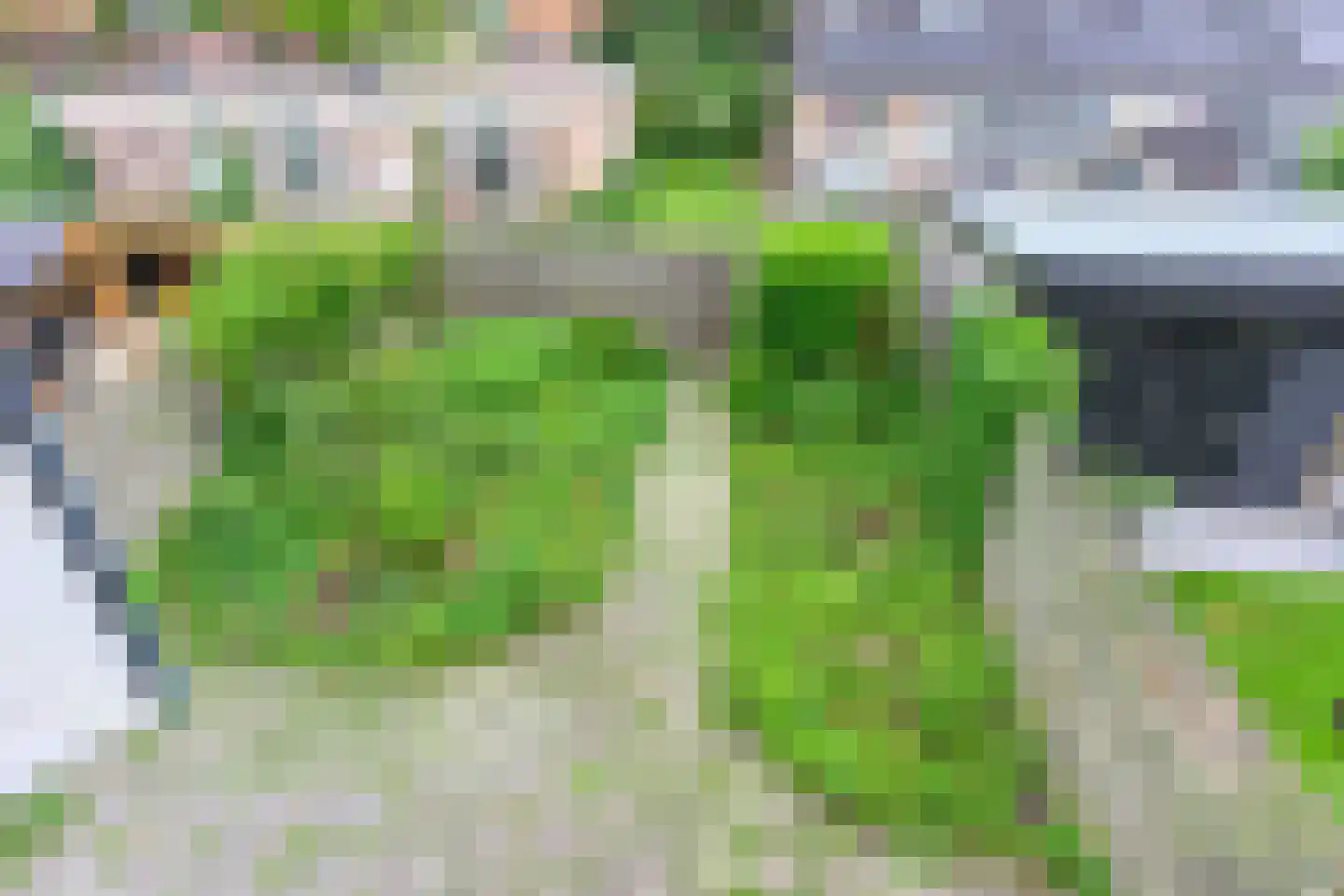 Amazonestraat 3 Luttelgeest thumbnail 35
