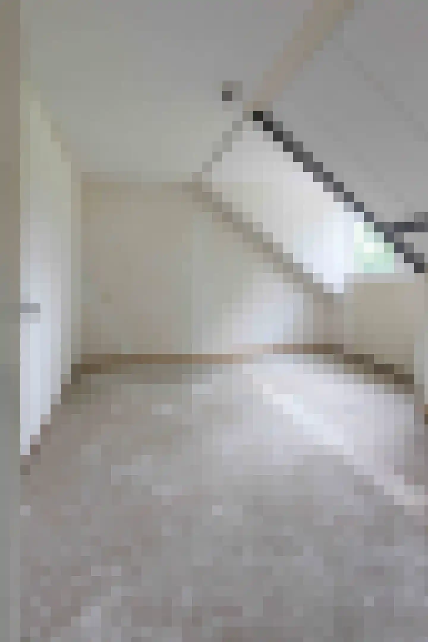 Amazonestraat 3 Luttelgeest thumbnail 36