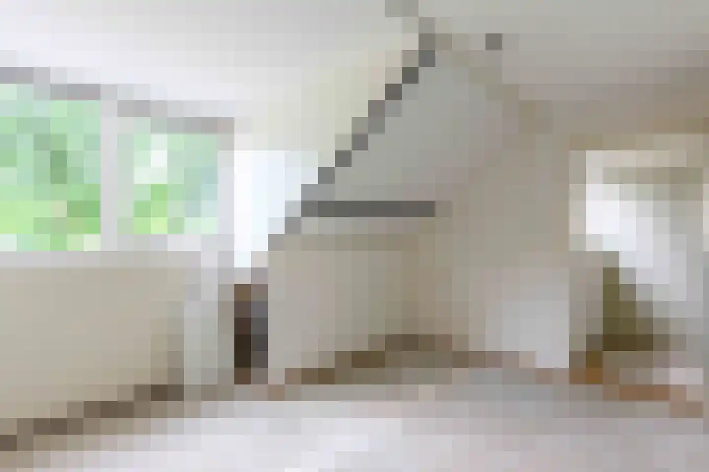 Amazonestraat 3 Luttelgeest thumbnail 37