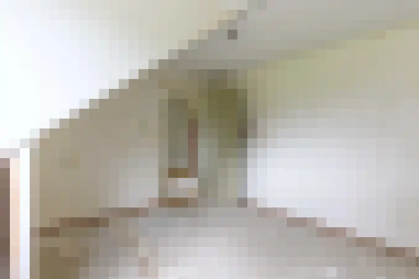 Amazonestraat 3 Luttelgeest thumbnail 38