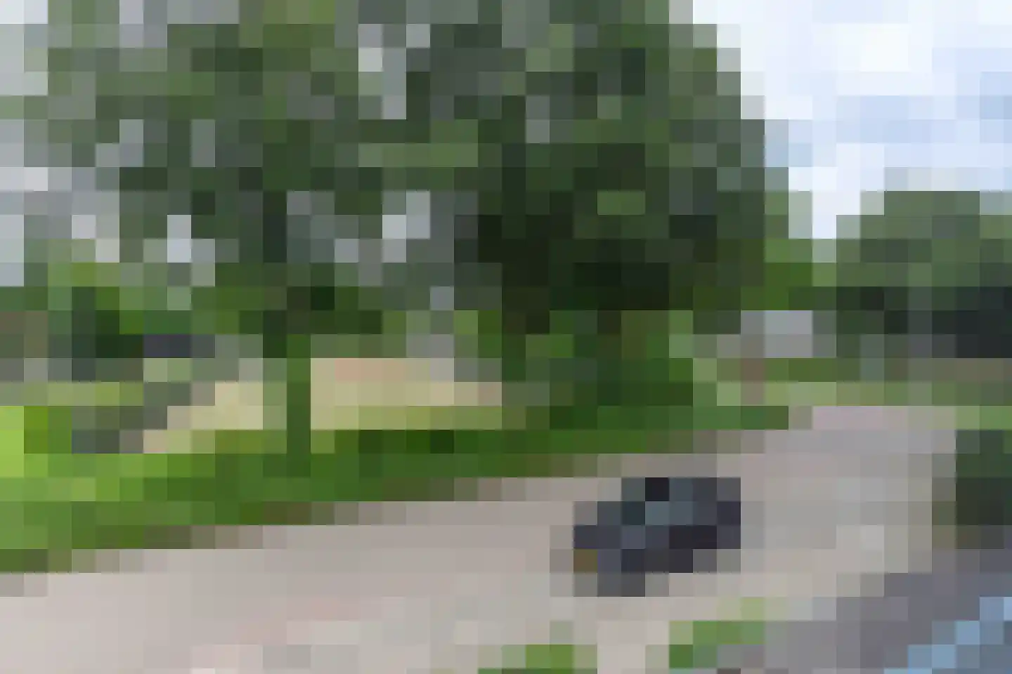 Amazonestraat 3 Luttelgeest thumbnail 39