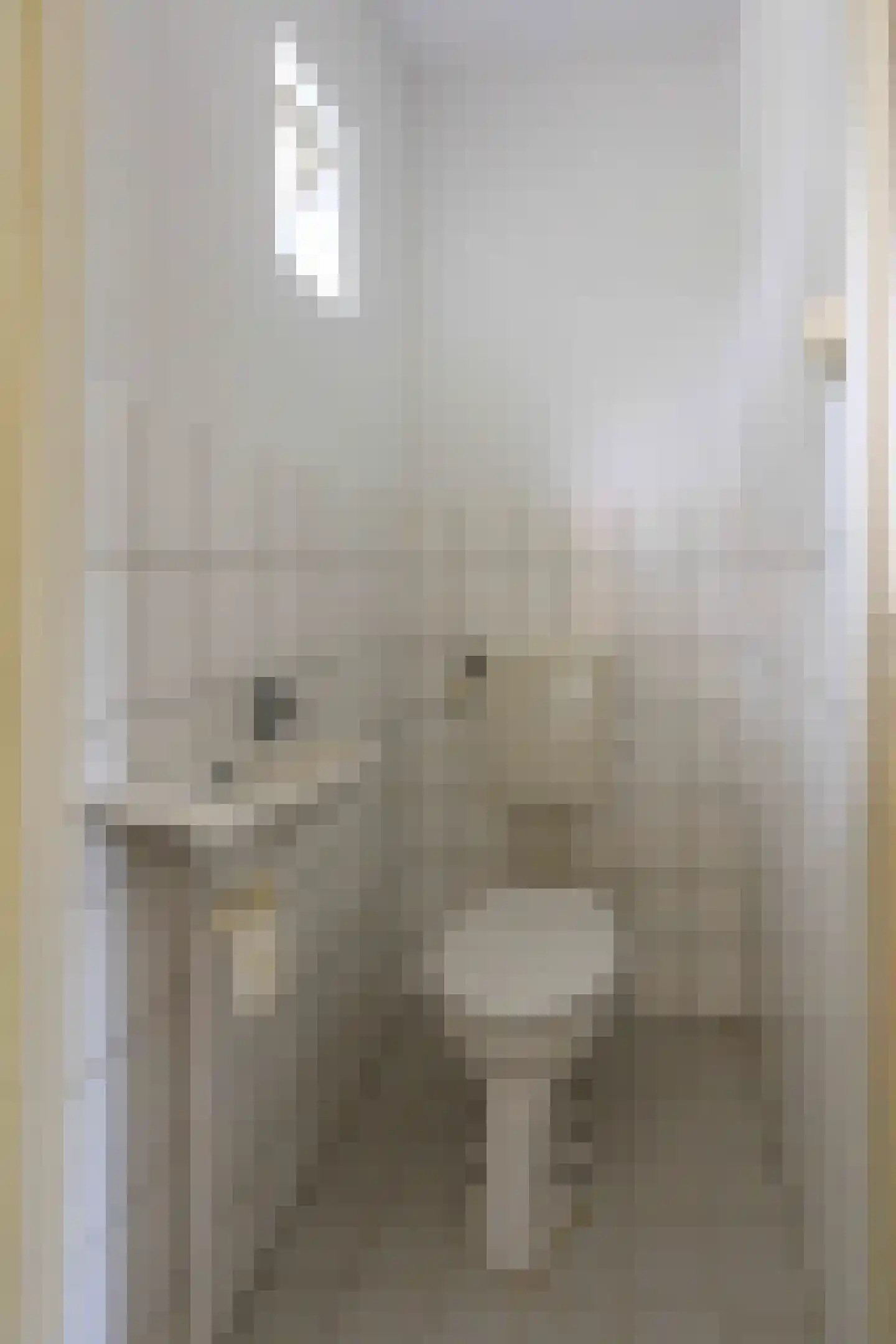 Amazonestraat 3 Luttelgeest thumbnail 4