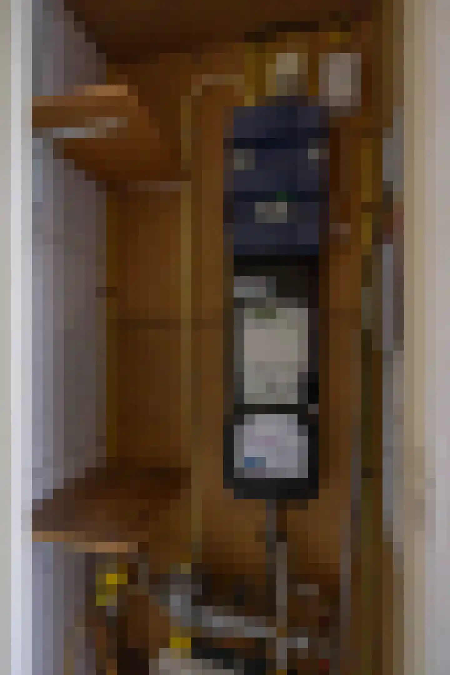 Amazonestraat 3 Luttelgeest thumbnail 5