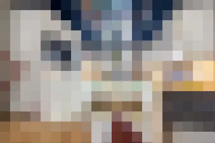 Amazonestraat 3 Spijkenisse thumbnail 10