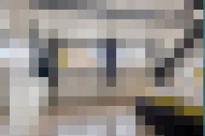 Amazonestraat 3 Spijkenisse thumbnail 13