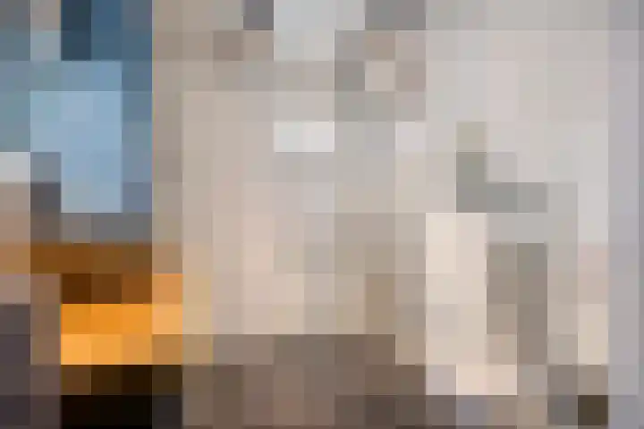 Amazonestraat 3 Spijkenisse thumbnail 15