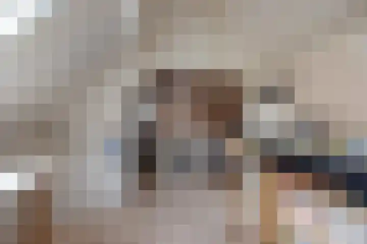 Amazonestraat 3 Spijkenisse thumbnail 20