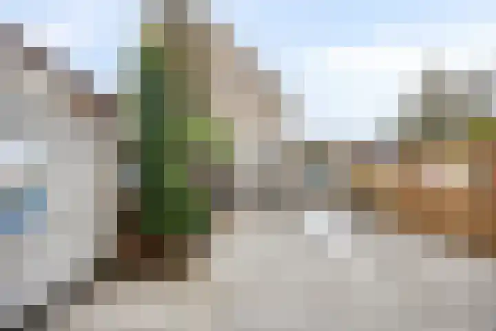 Amazonestraat 3 Spijkenisse thumbnail 24