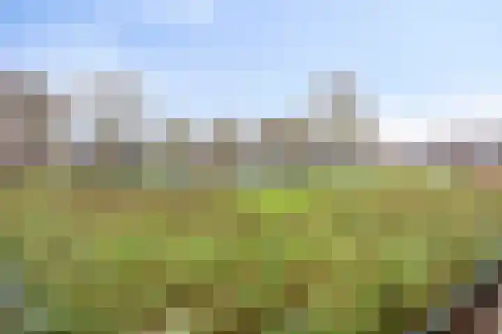 Amazonestraat 3 Spijkenisse thumbnail 25