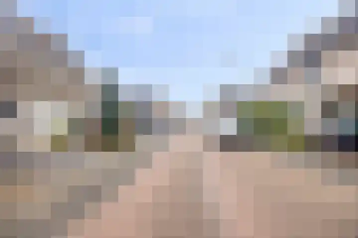 Amazonestraat 3 Spijkenisse thumbnail 26
