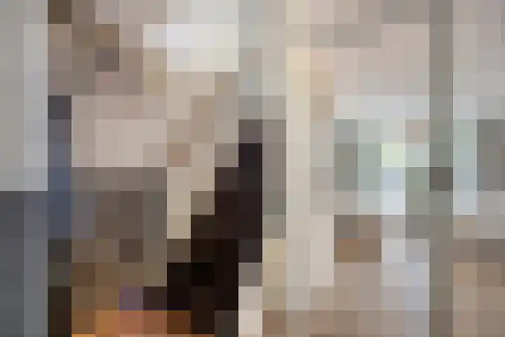 Amazonestraat 3 Spijkenisse thumbnail 4