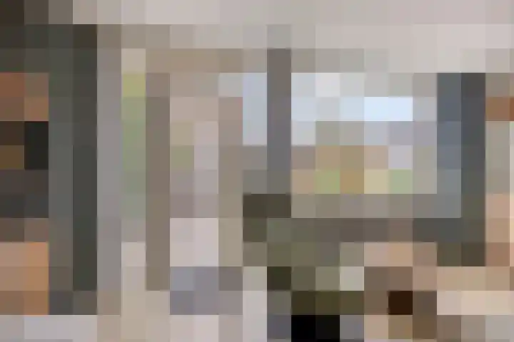Amazonestraat 3 Spijkenisse thumbnail 6