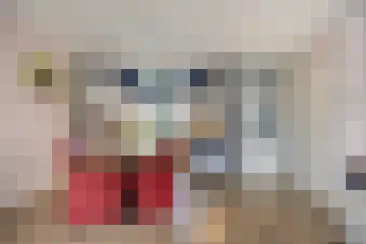 Amazonestraat 3 Spijkenisse thumbnail 8