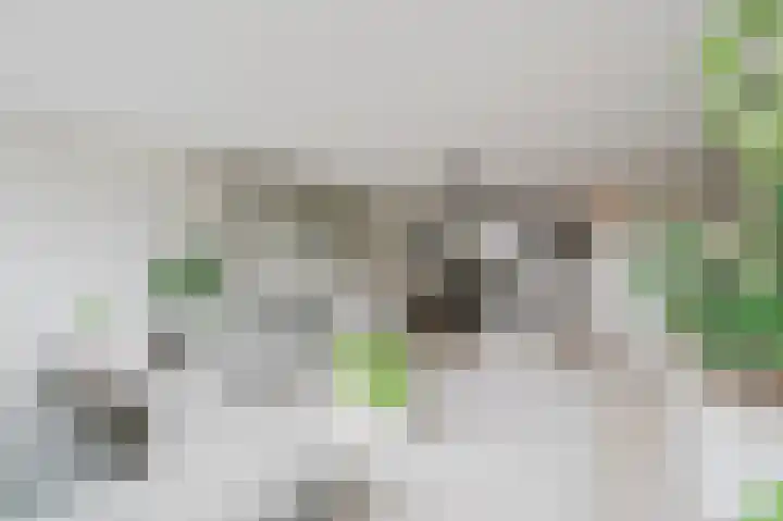 Amazonestraat 51 Spijkenisse thumbnail 13