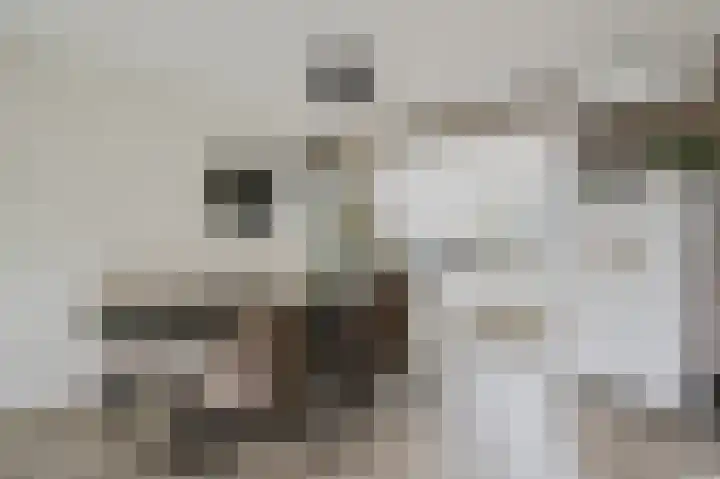 Amazonestraat 51 Spijkenisse thumbnail 14
