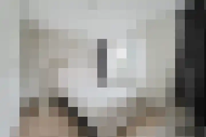 Amazonestraat 51 Spijkenisse thumbnail 16