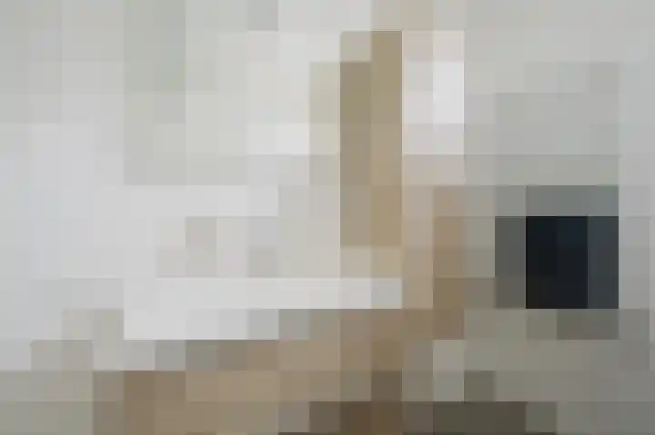 Amazonestraat 51 Spijkenisse thumbnail 17