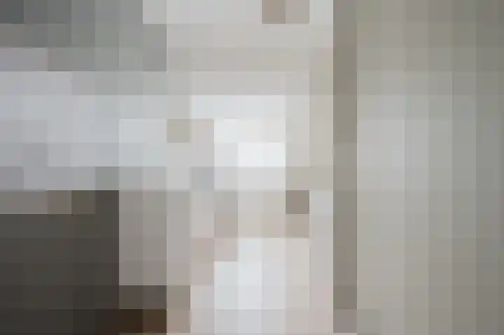 Amazonestraat 51 Spijkenisse thumbnail 20