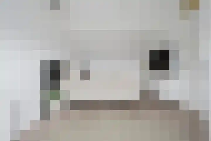 Amazonestraat 51 Spijkenisse thumbnail 22