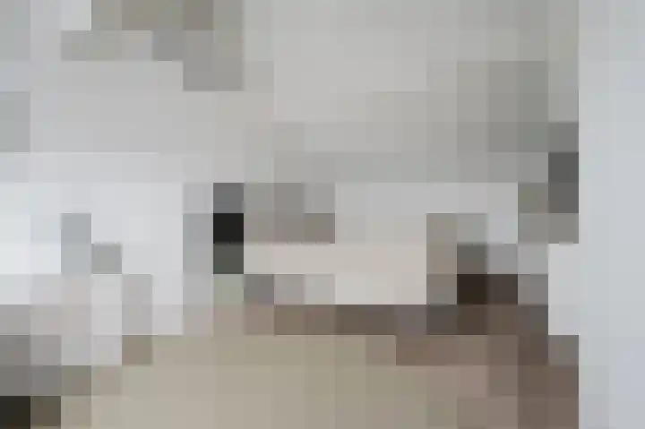 Amazonestraat 51 Spijkenisse thumbnail 23